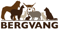 Bergvang