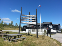 Torsetlia på Dagalifjell 1040 m.o.h.