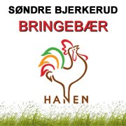 Søndre Bjerkerud