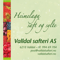 Valldal Safteri