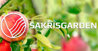 Sakrisgarden Linge